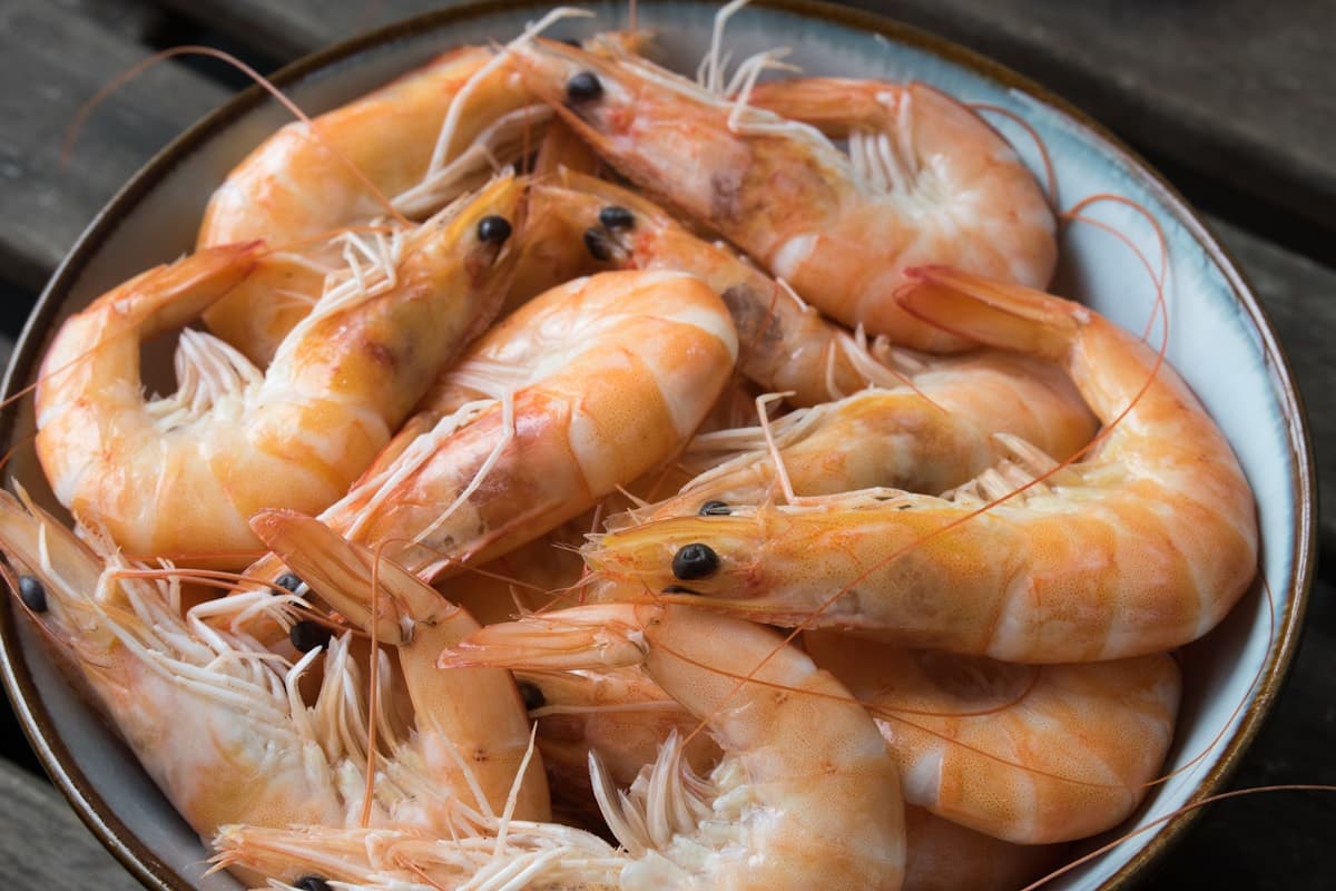 Illustrative seafood dish with prawns